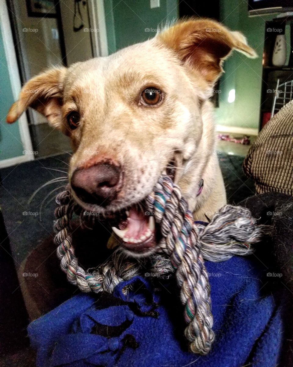 So happy and excited to be playing with me today!