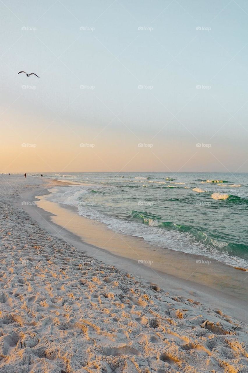 The beach is swimming time