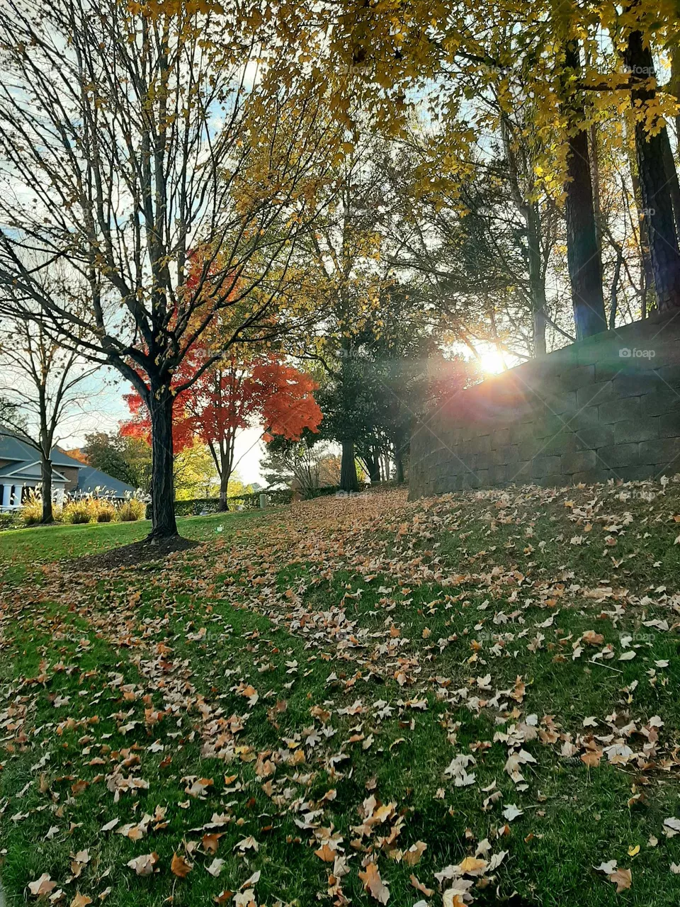 Sunset of Fall
