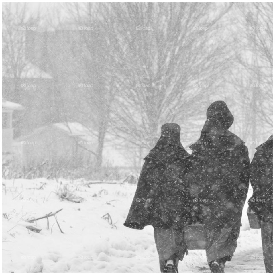 Amish winter