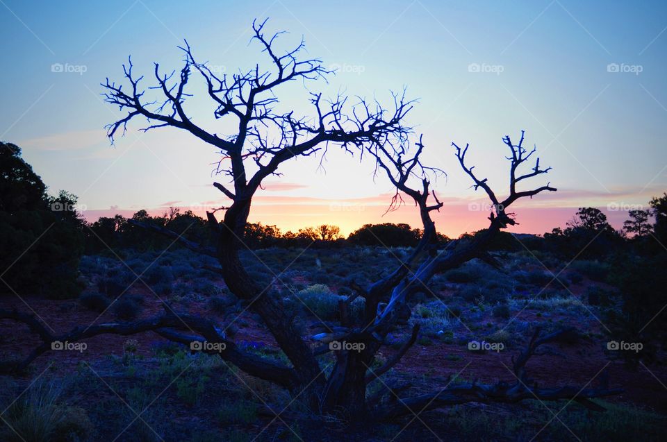 Frame. Canyonlands, Utah