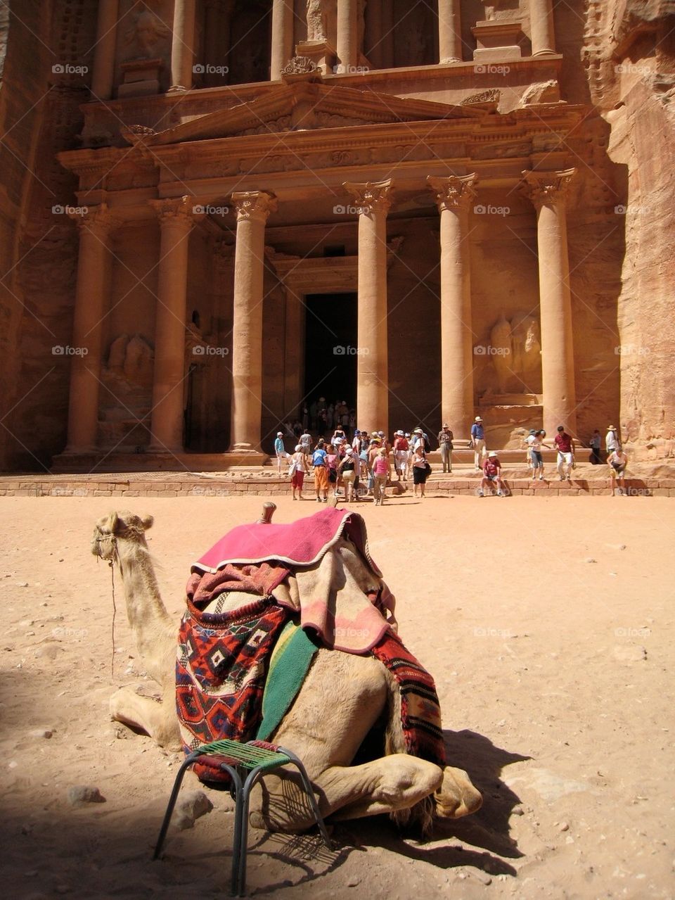 Camel of Petra