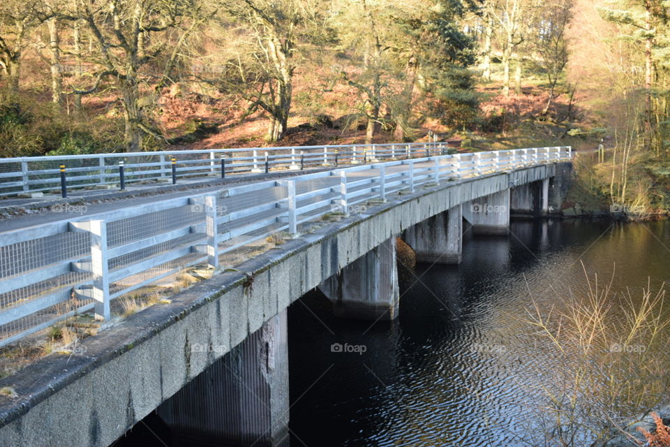 Bridge standing in lake