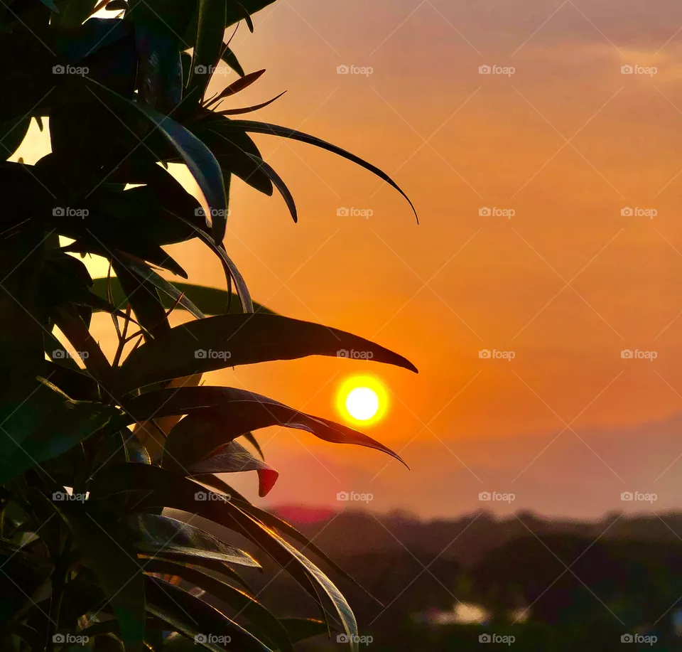 Orange sun in the morning 