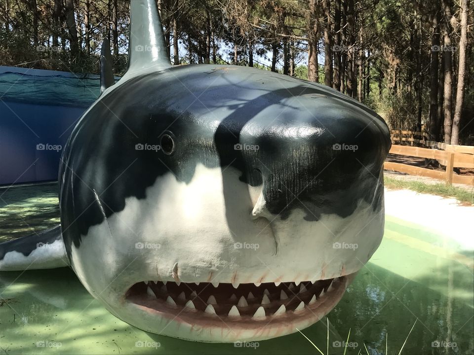 Megalodoton Dino parque Lourinhã 