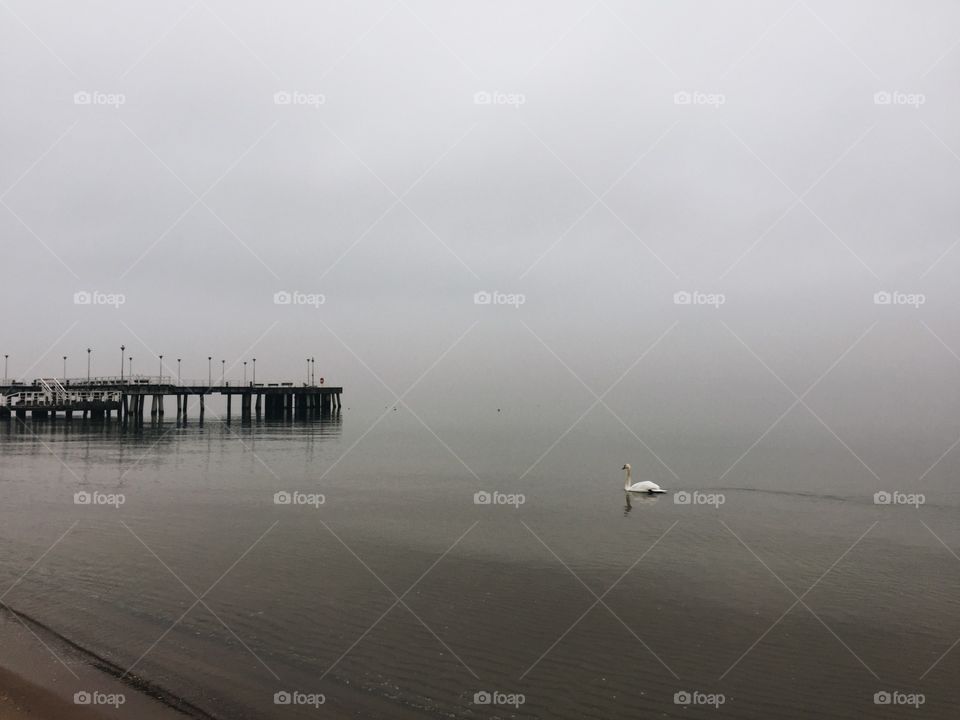 Sea, Beach, Water, Ocean, Landscape