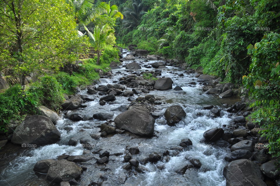 River with green background