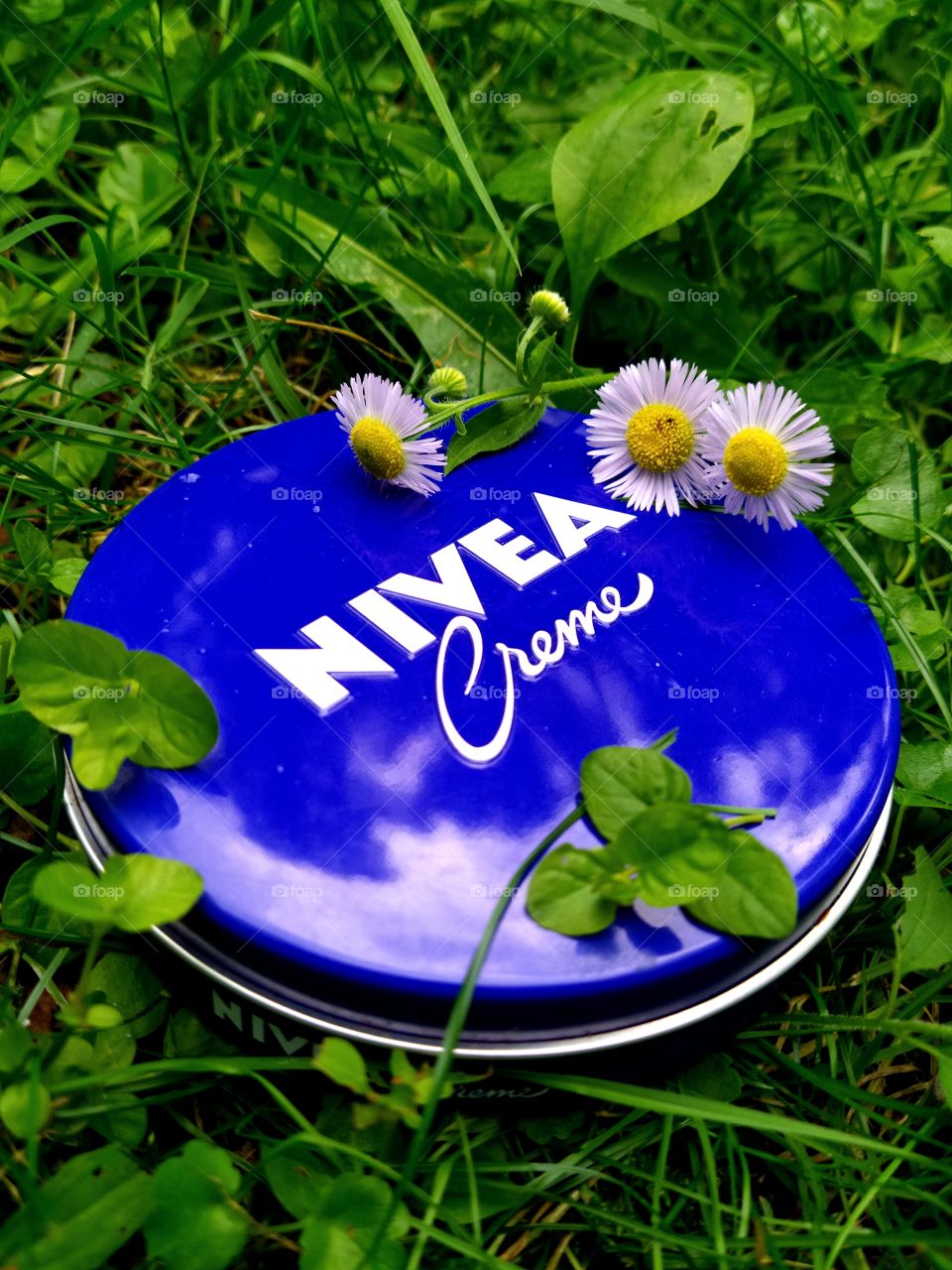 Round box of Nivea cream on green grass. White clouds are reflected on the lid.  There are three white flowers on the lid