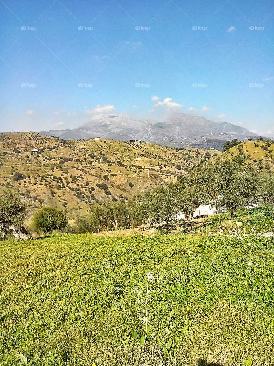 Views of Andalucia