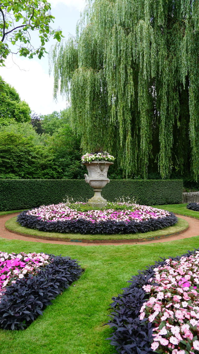 A garden during summer