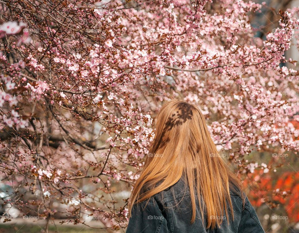 When trees start to bloom in pink color.