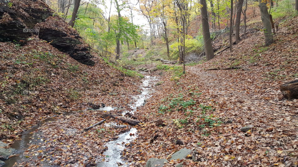 Creek in schenly park