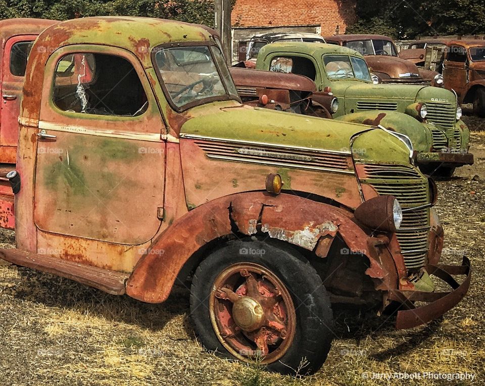 Old Rusted Out Vintage Farm Trucks