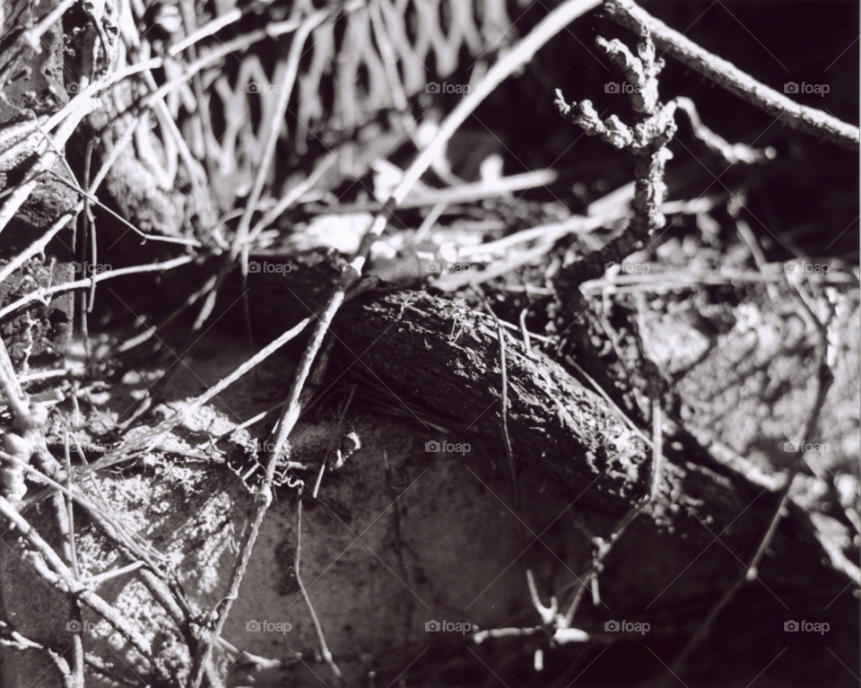 city white black urban by squishypie