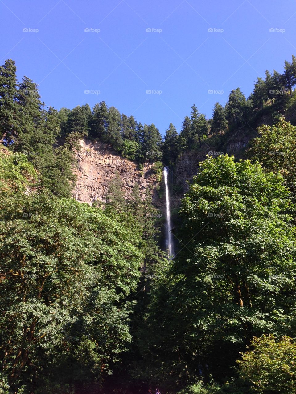 Top of Multnomah Falls outside of Portland, OR.