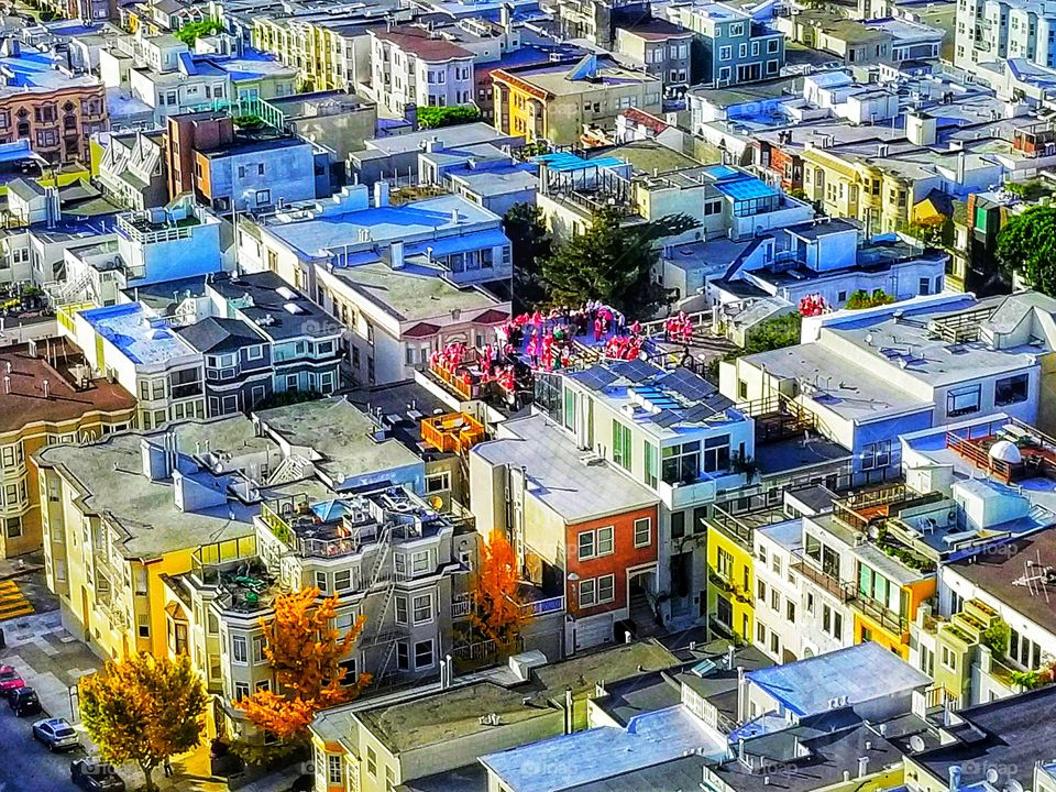 SAN FRANCESCO|california