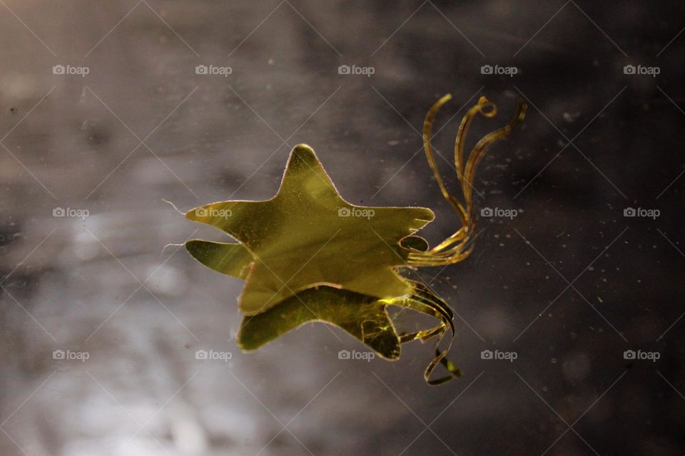 Frozen Wish in Starlight