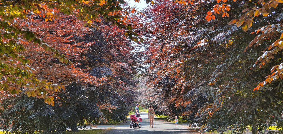 A couple on an autumn walk in the park with their baby