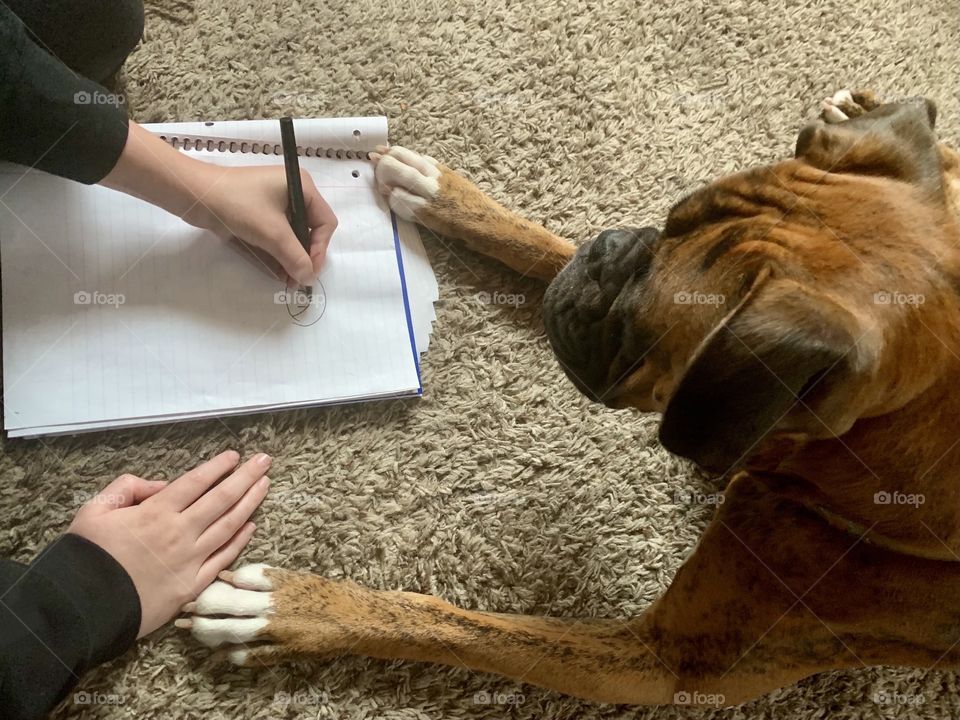 Little boy and his dog drawing pictures in a notebook at home. Art work, drawings and sketches