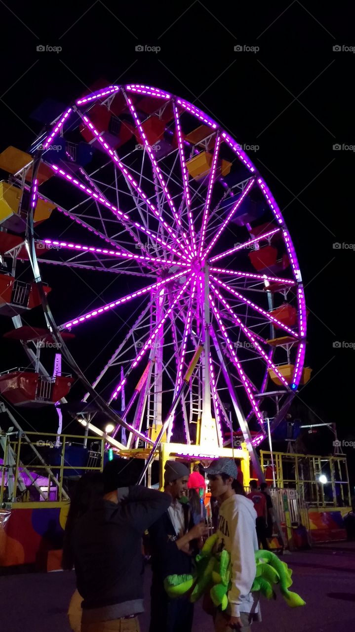 purple Ferris wheel