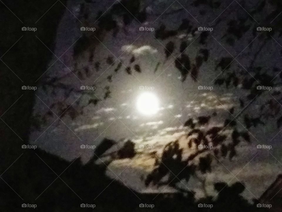 moonrise with clouds