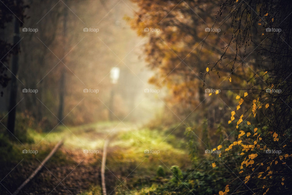 Railway tracks out of focus 