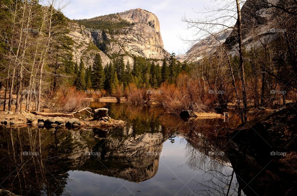 Reflection of mountain and trees