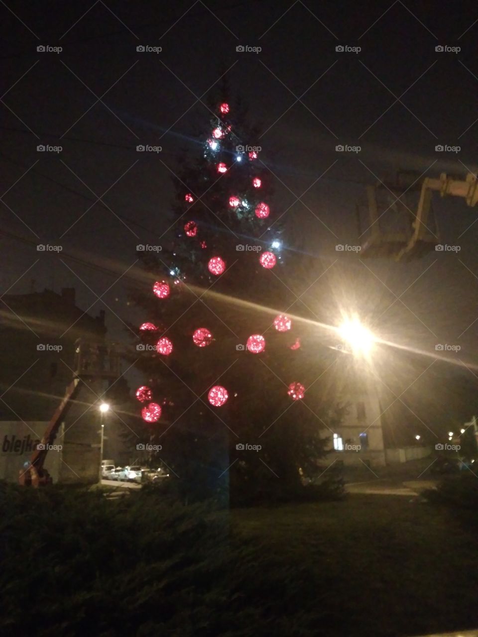 Christmas tree in Riga