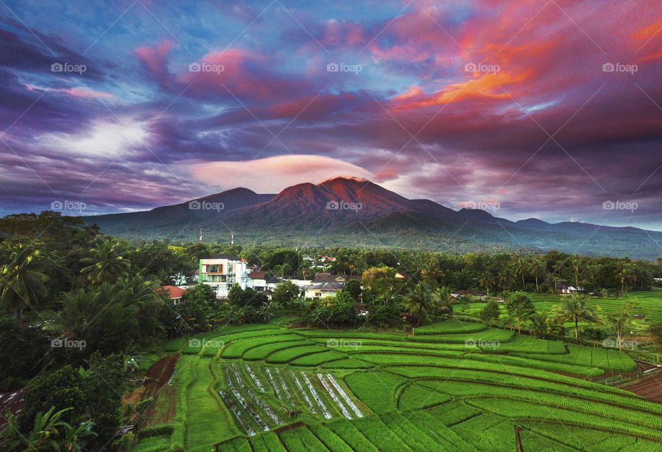 Best view mountain with green rice fields Indonesia