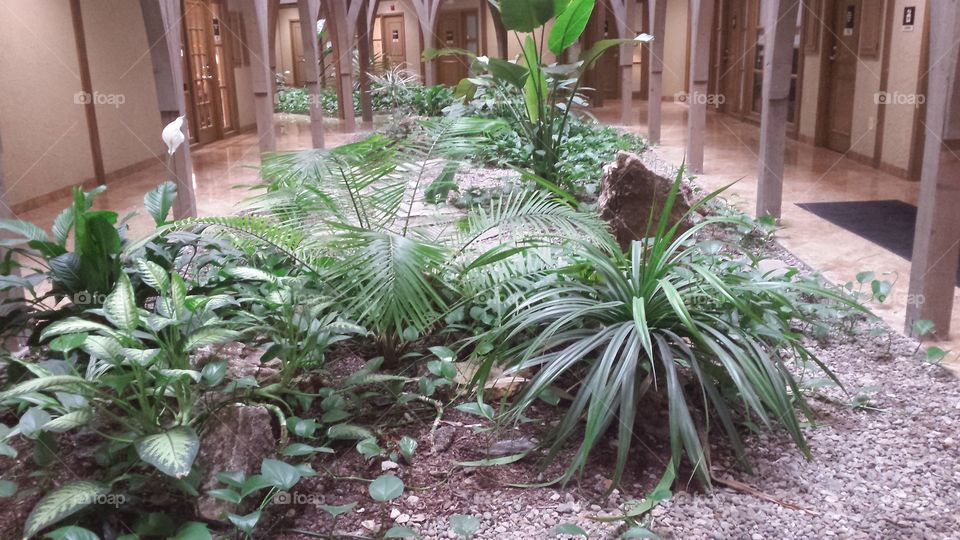 office indoors landscape foliage and banana trees