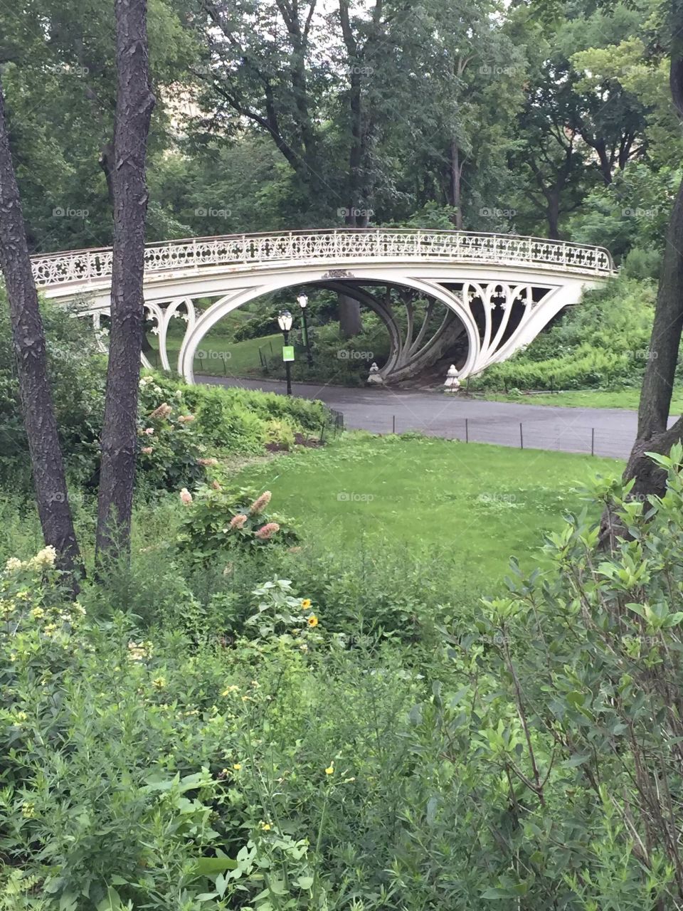 Central Park New York 