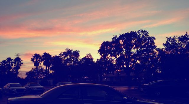 sunset