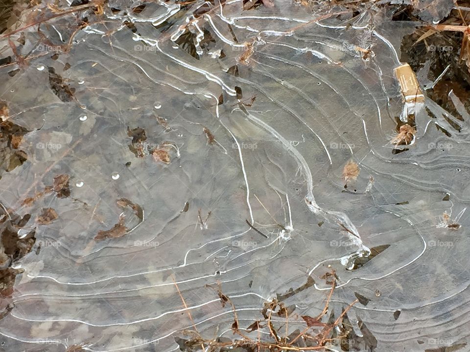 Close-up of frozen puddle