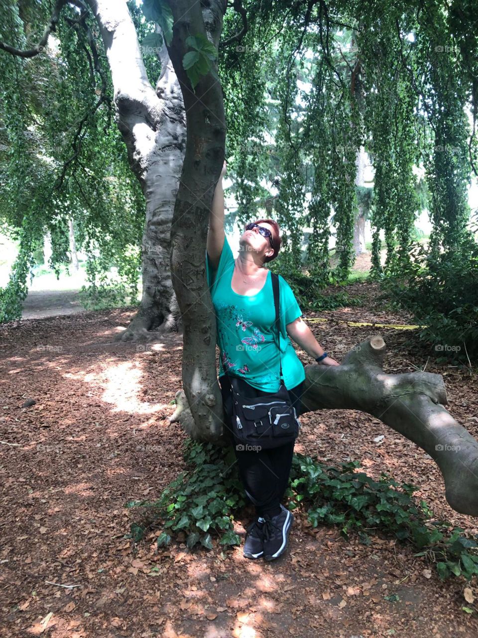 Palmengarten Frankfurt