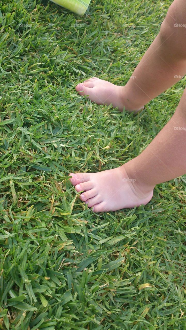 Pies y hierba