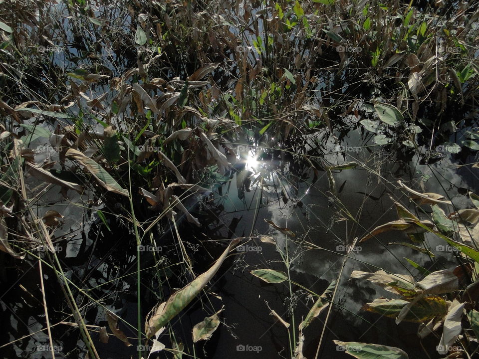 Reflecting starburst