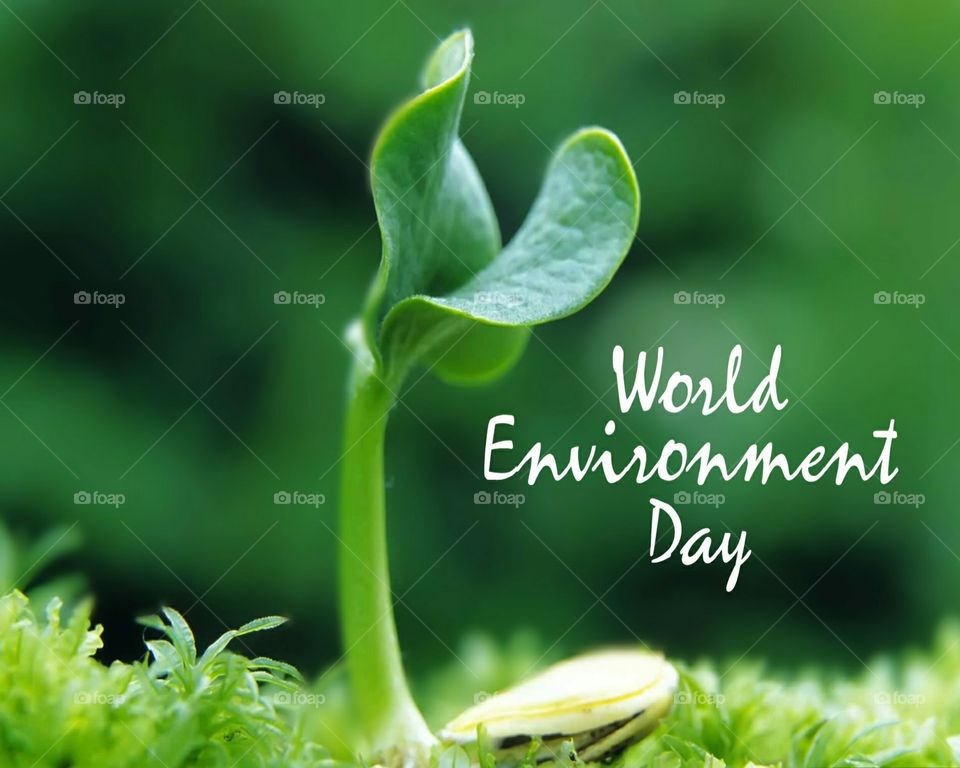 World Environment Day is celebrated on the 5th of June every year, and is the United Nation's principal vehicle for encouraging awareness and action for the protection of our environment.