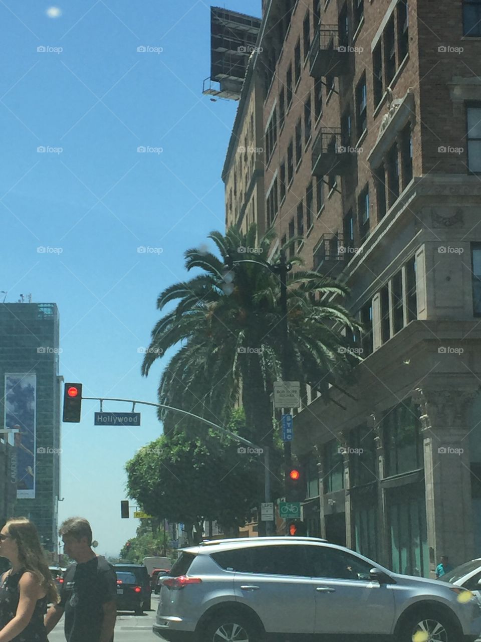 Swaying in the warm wind in downtown LA.  Had to stop (red light) to capture the beauty of this palm.