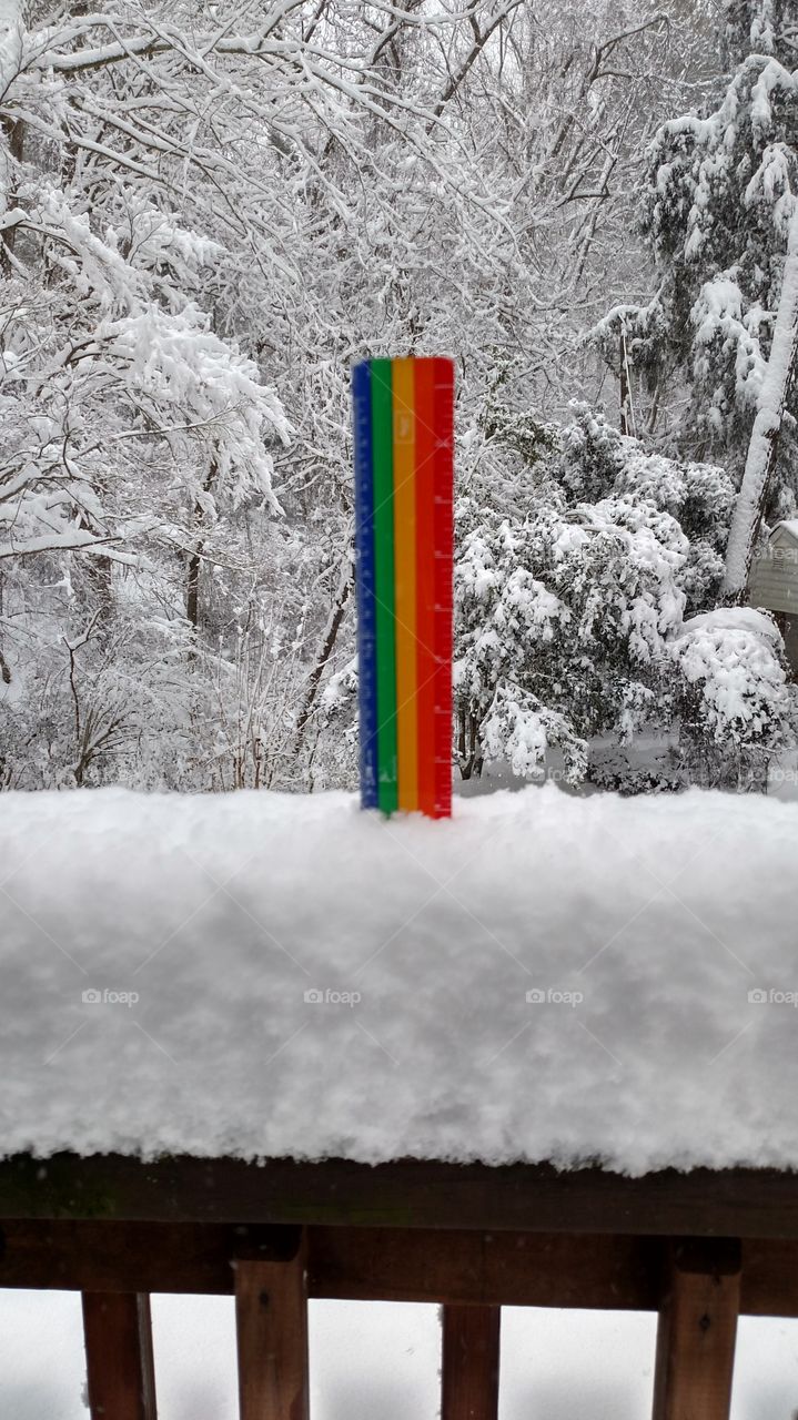 Measuring Snow. An unexpected snowstorm in Williamsburg Virginia.