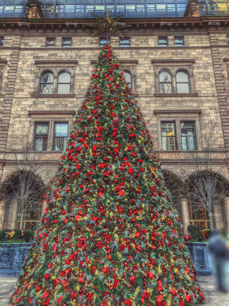 Lotte New York Palace ,Christmas Tree