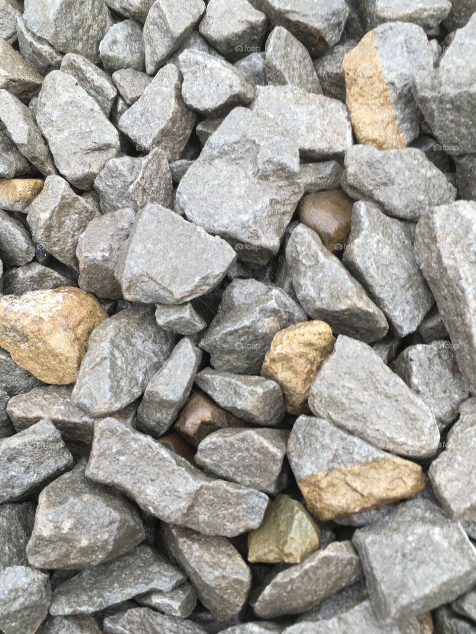 Stones after rain