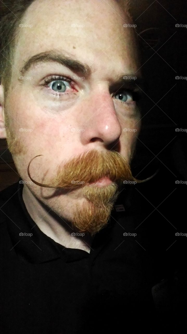 ginger moustache