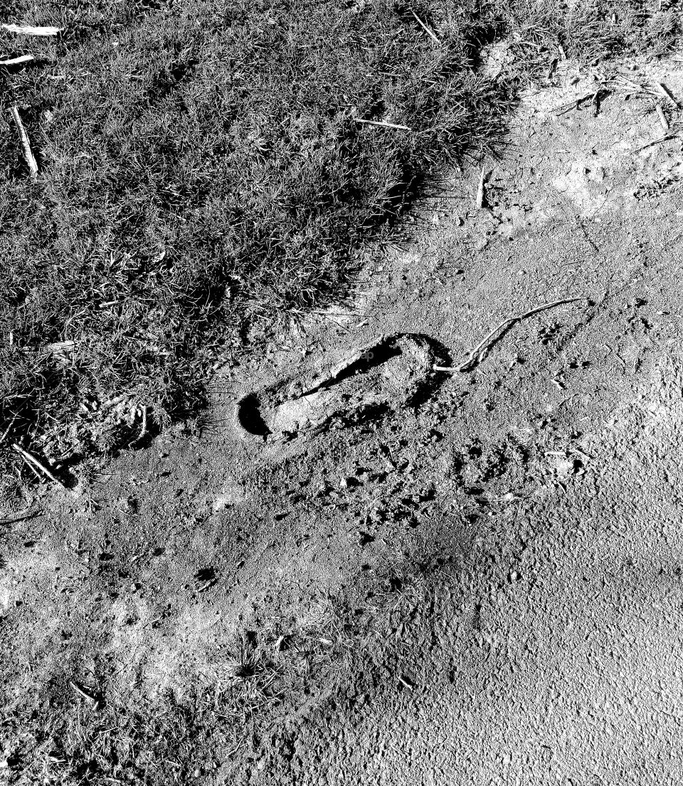 One big step for man.