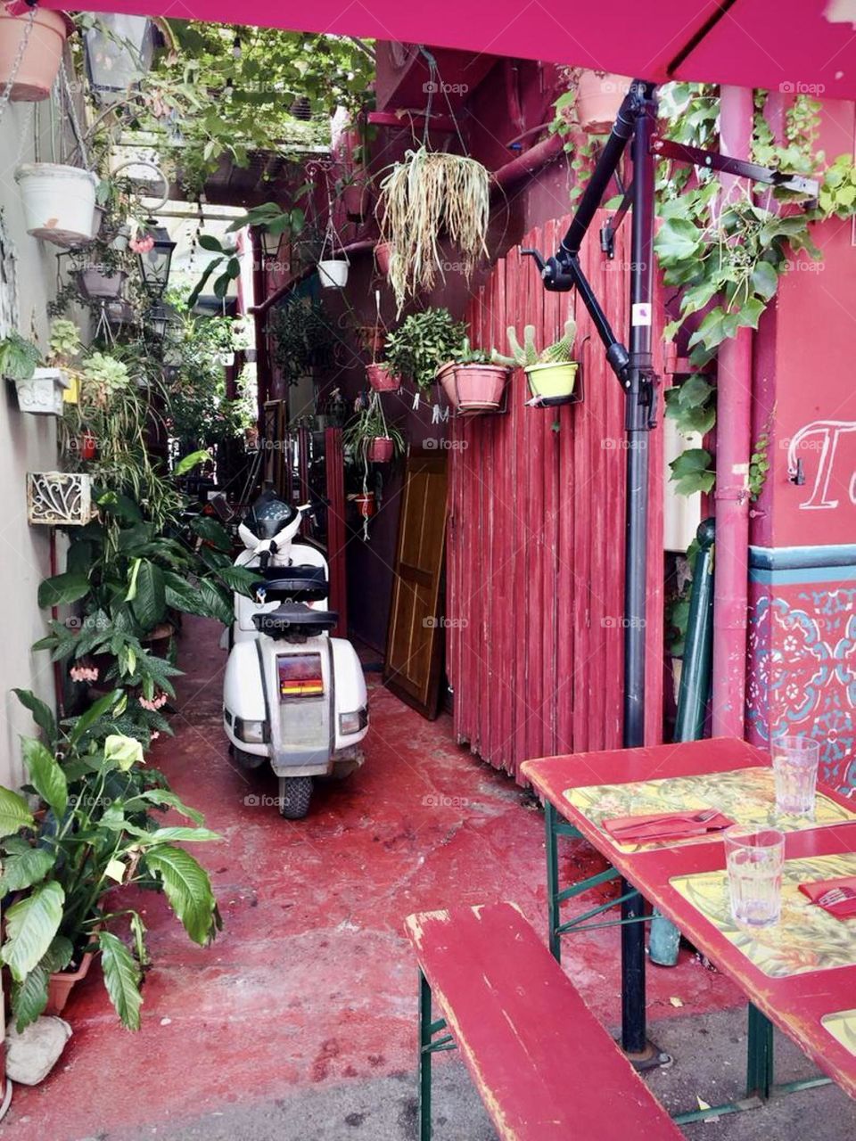 Magenta backyard decorated with plants in Ajaccio, Corse, France 