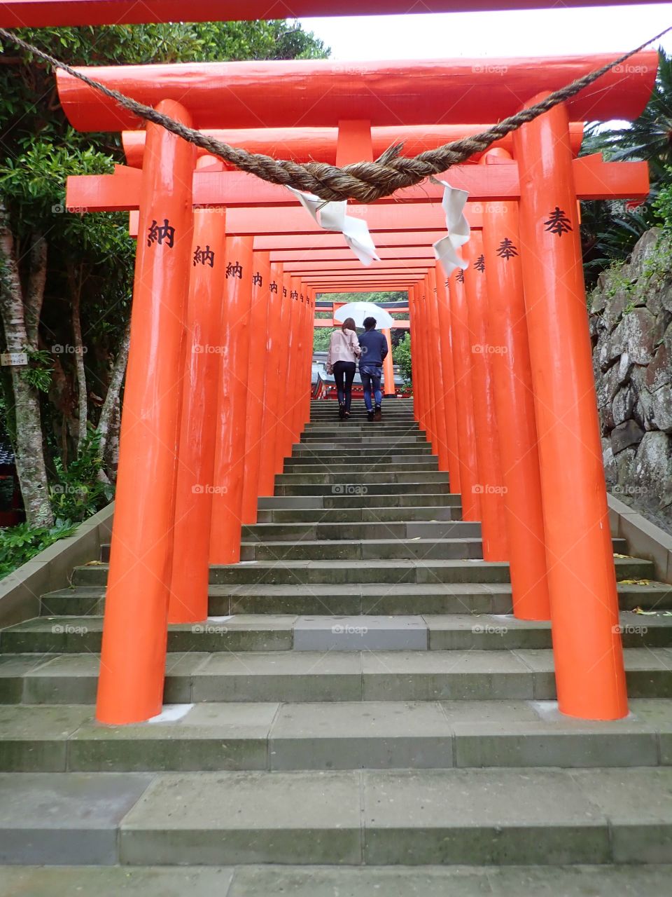 Torii Gates