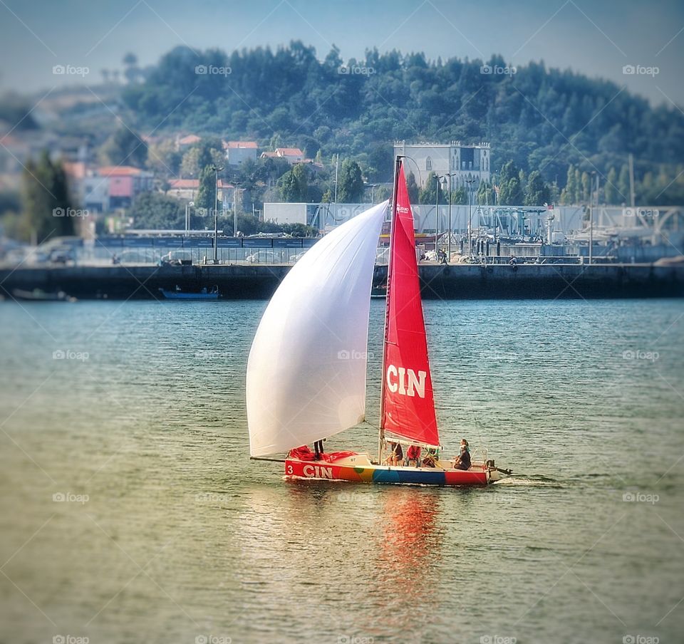 Sailing on the Douro Porto