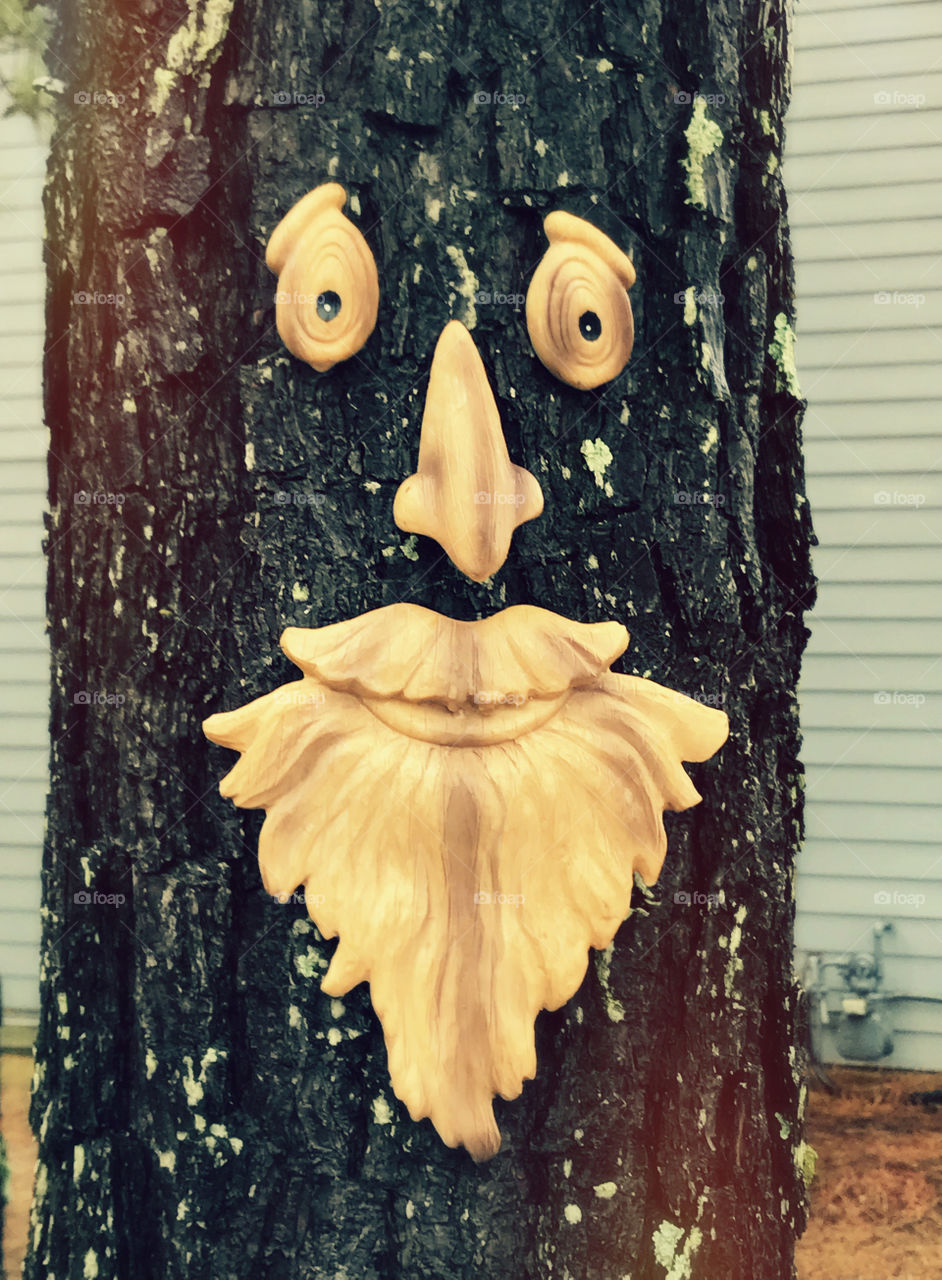 Tree beard 2