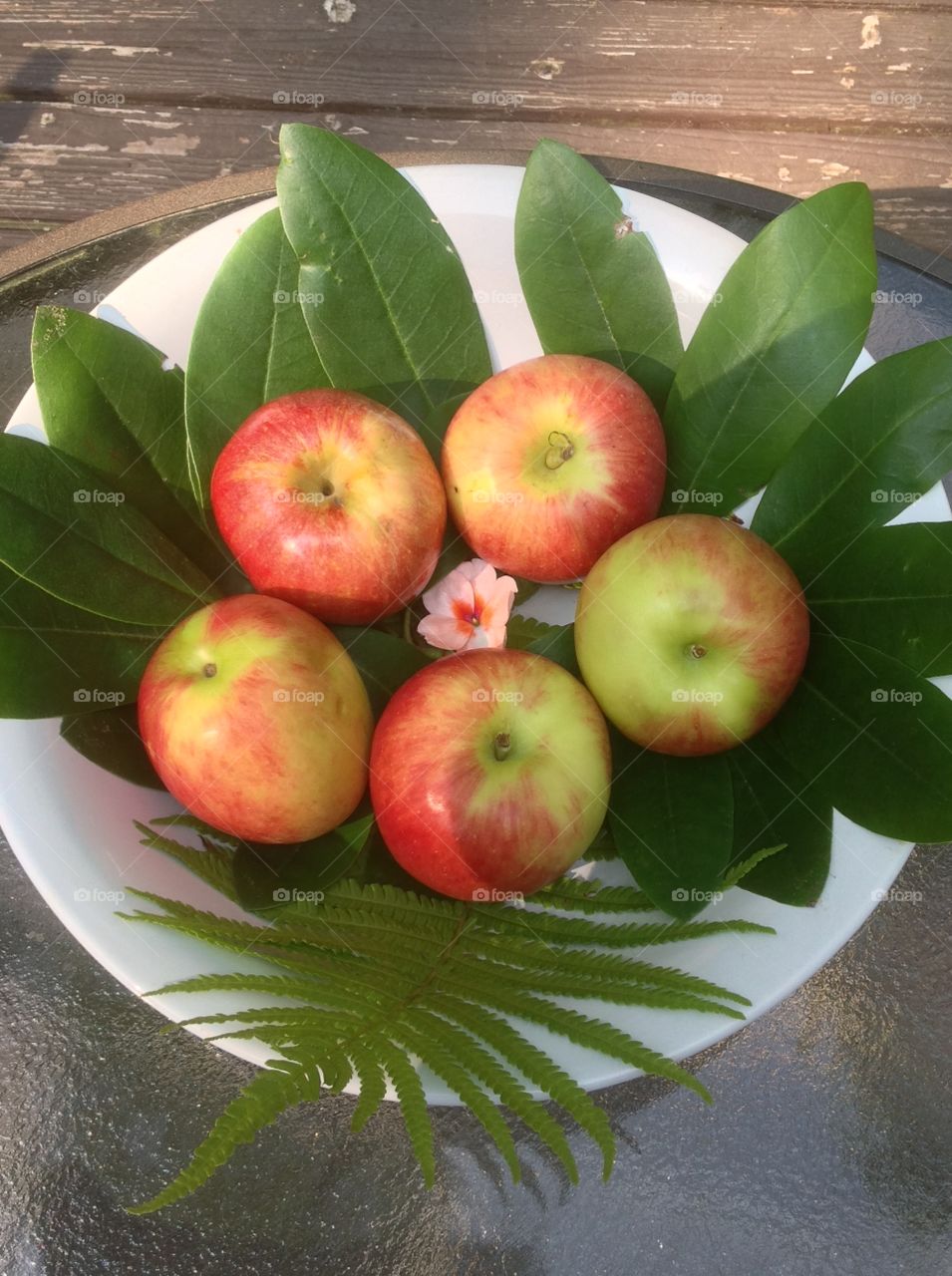 Apples in a bowl for s table centerpiece. 