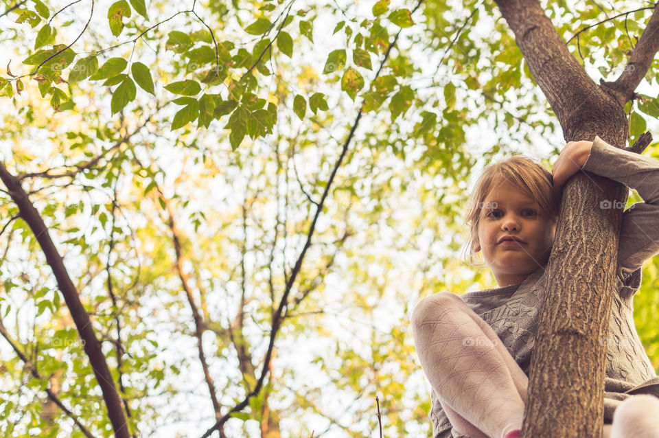 girl on the tree