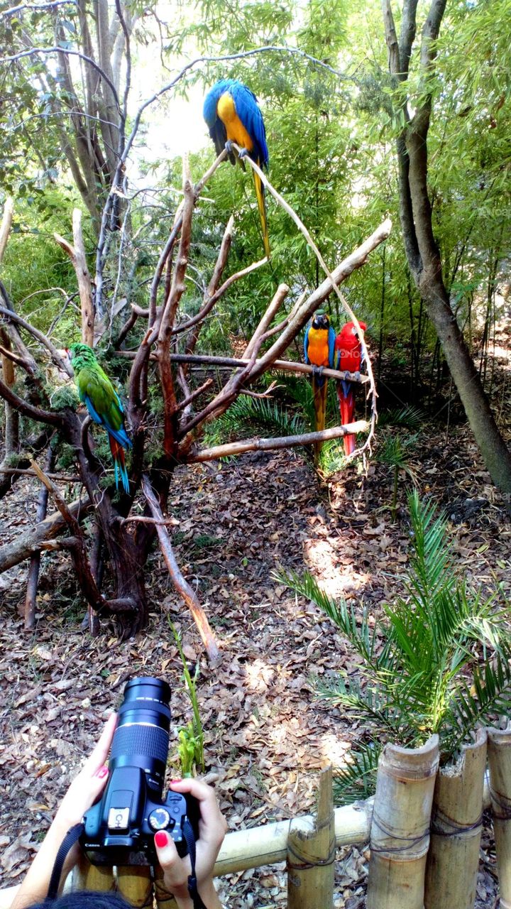 Best of 2021 : Nature